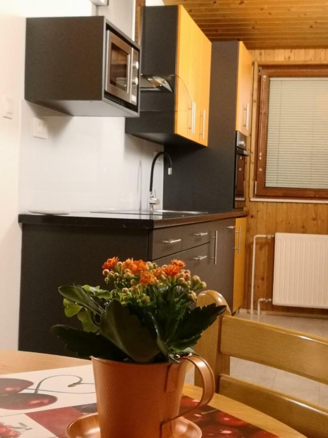 Apartments Silic ブレッド エクステリア 写真