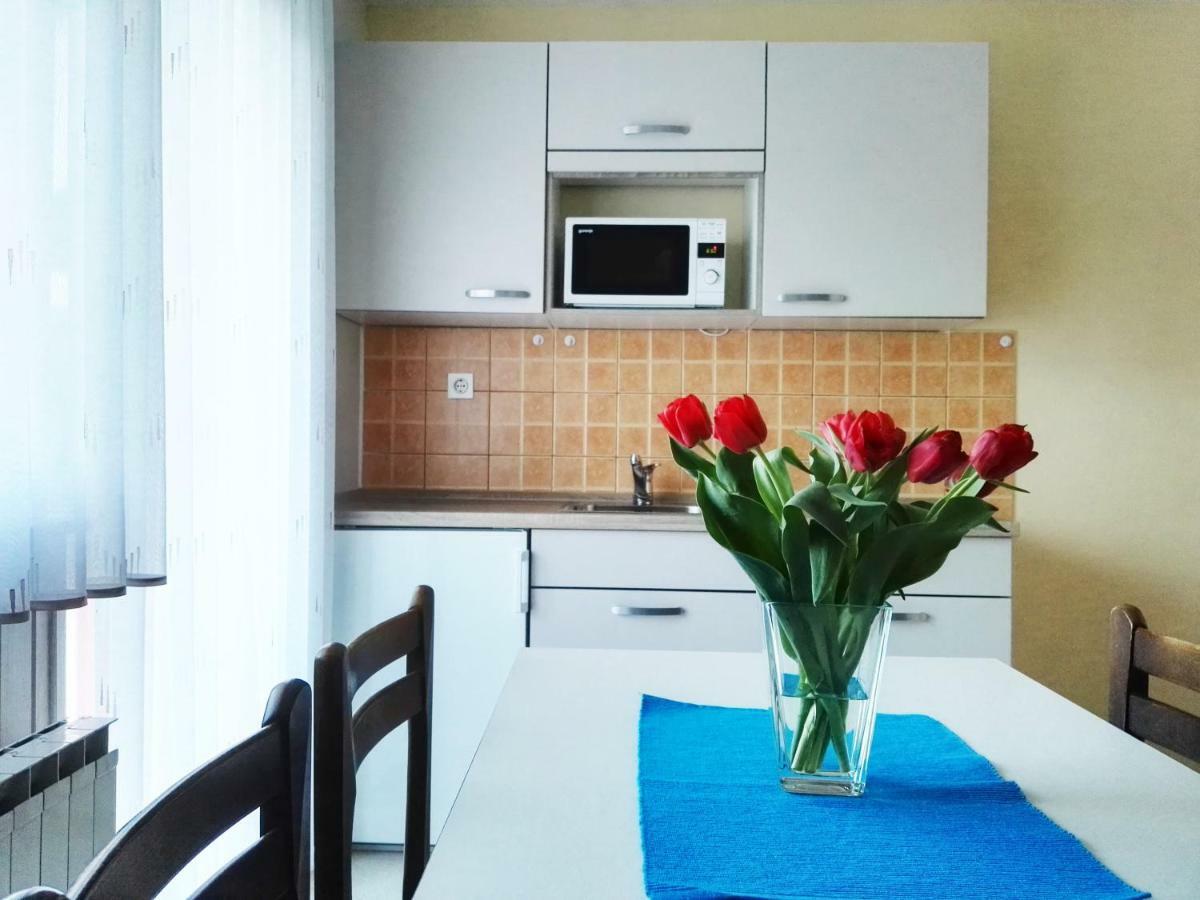 Apartments Silic ブレッド エクステリア 写真